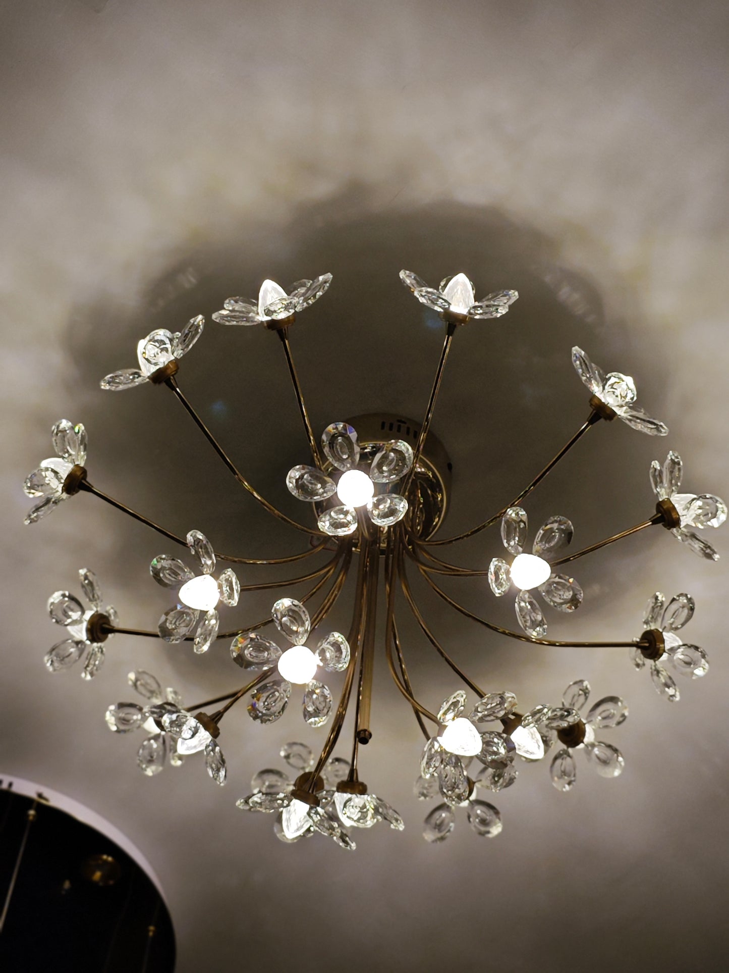 Ignite Ceiling light