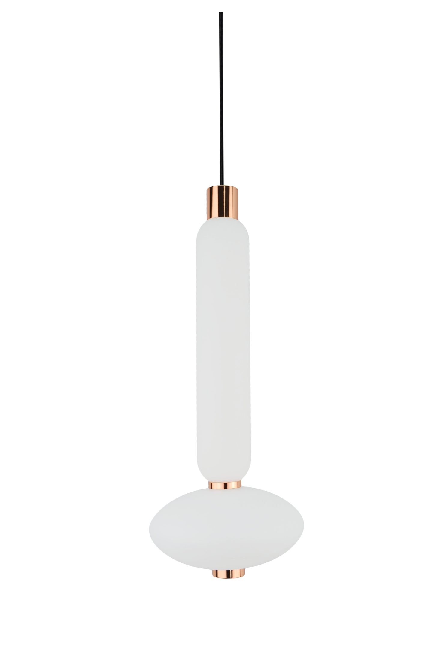 Enrich Hanging Light