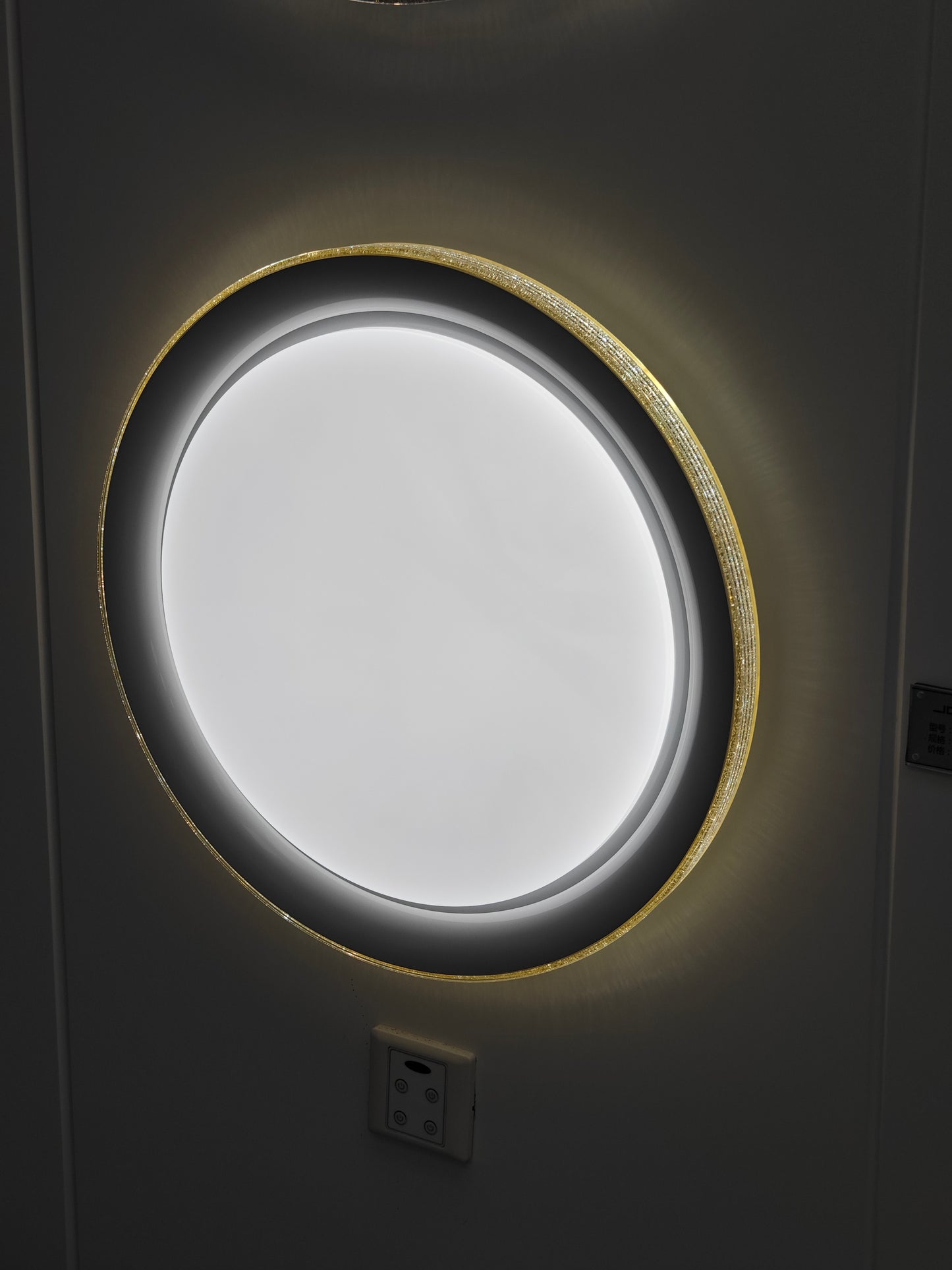 Aegis Ceiling Light