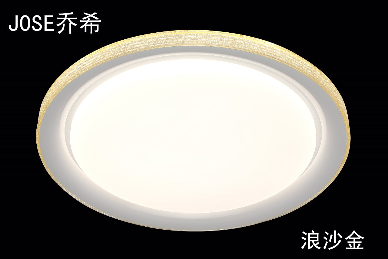 Aegis Ceiling Light