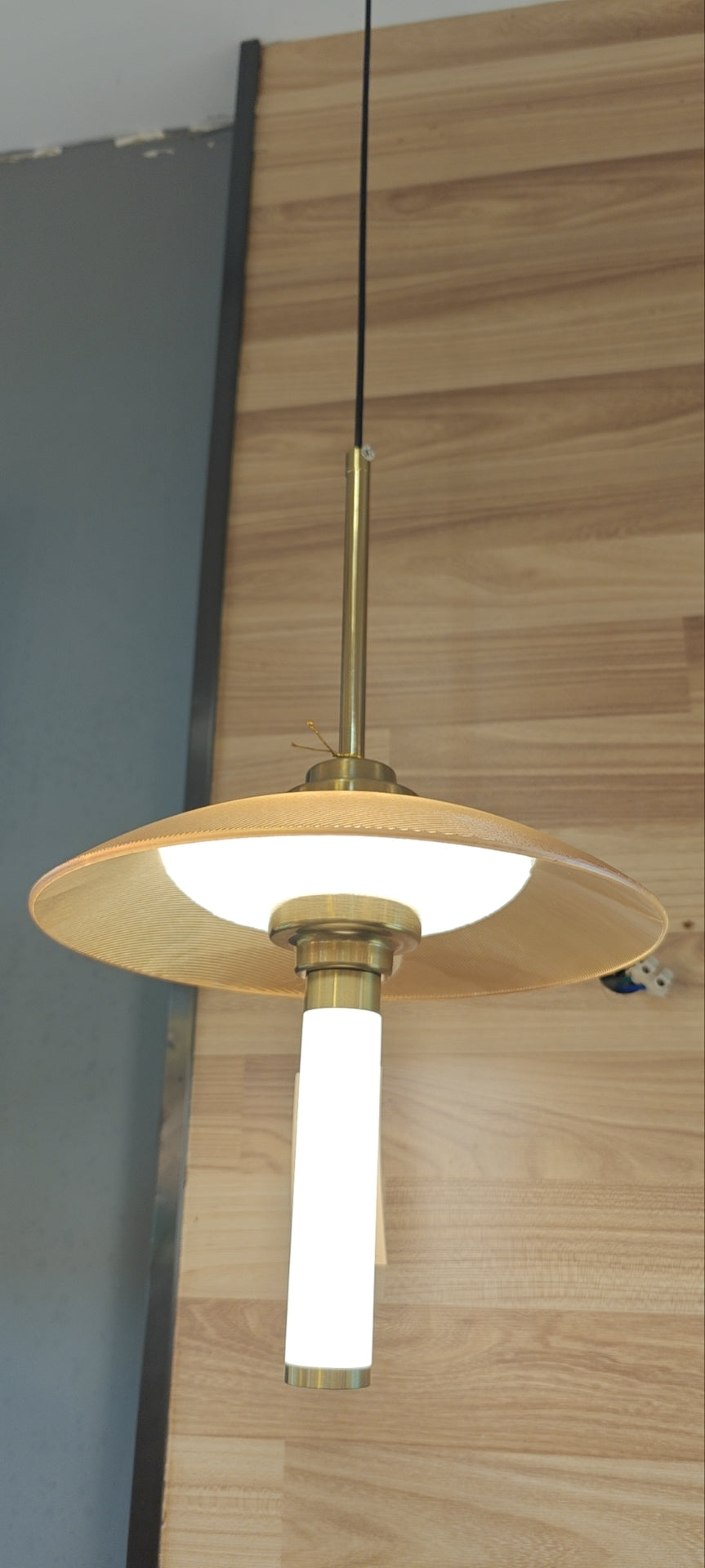 Aspect Hanging Light