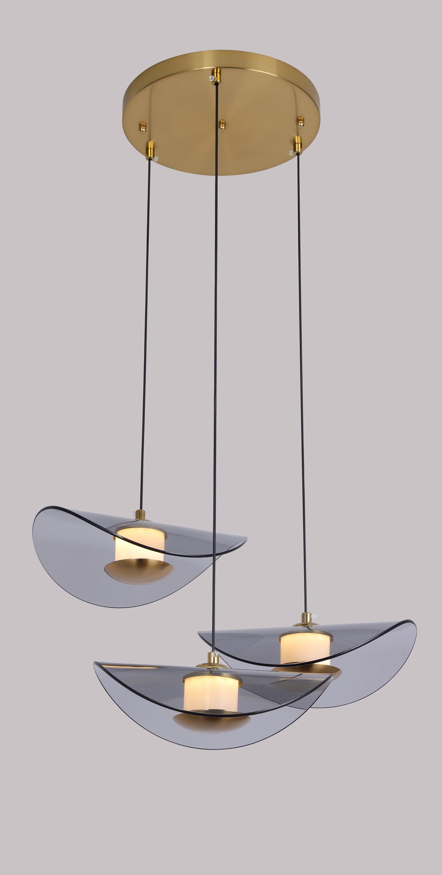 Charge Hanging Light