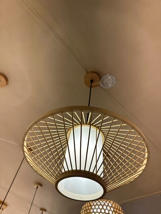 Concept Hanging Light