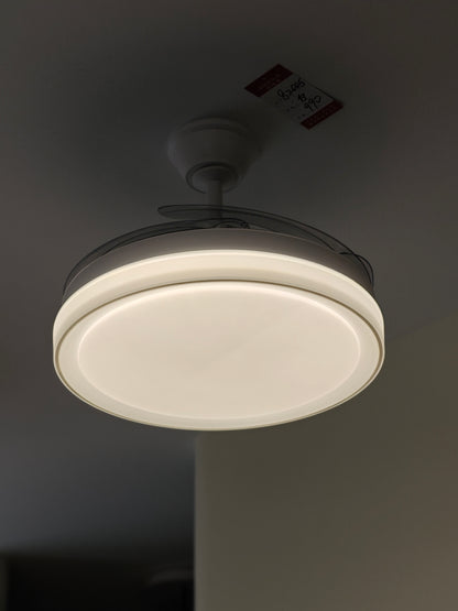 Daylight Fan Light