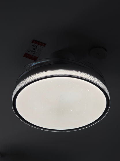 Daylight Fan Light