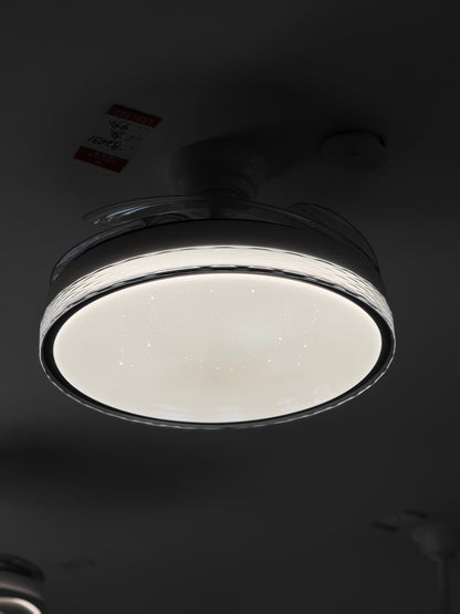 Daylight Fan Light