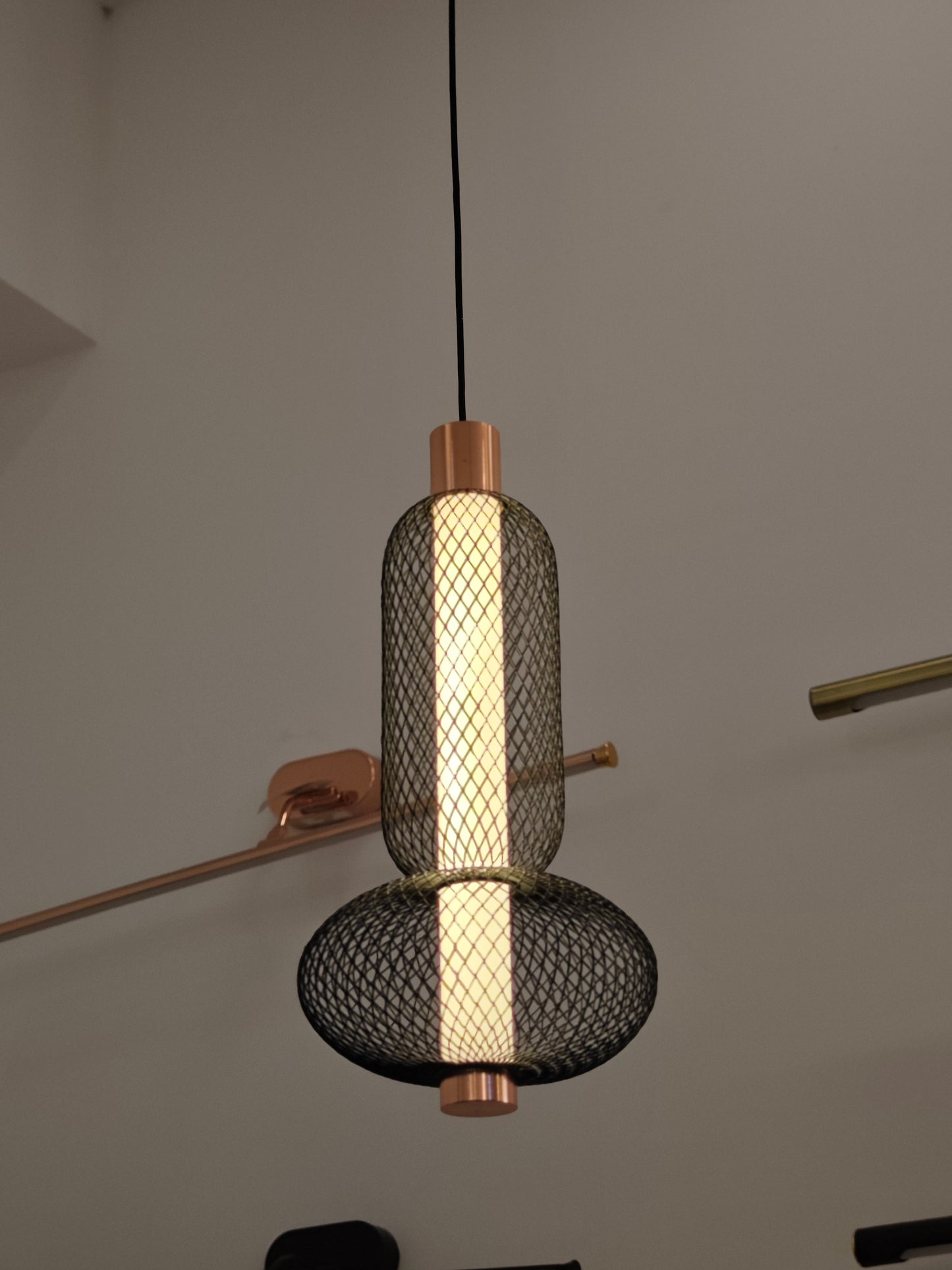 Envision Hanging Light