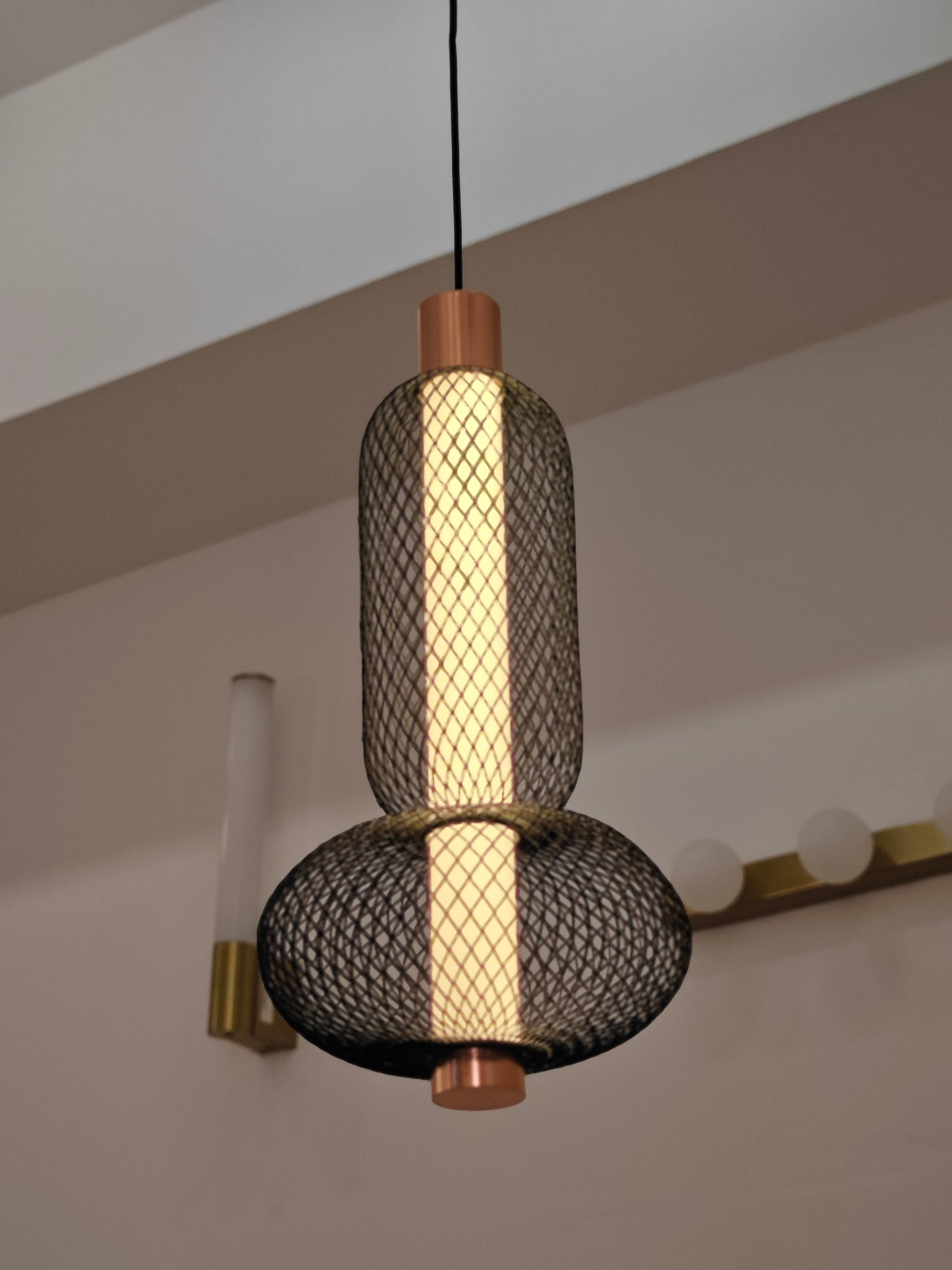 Envision Hanging Light