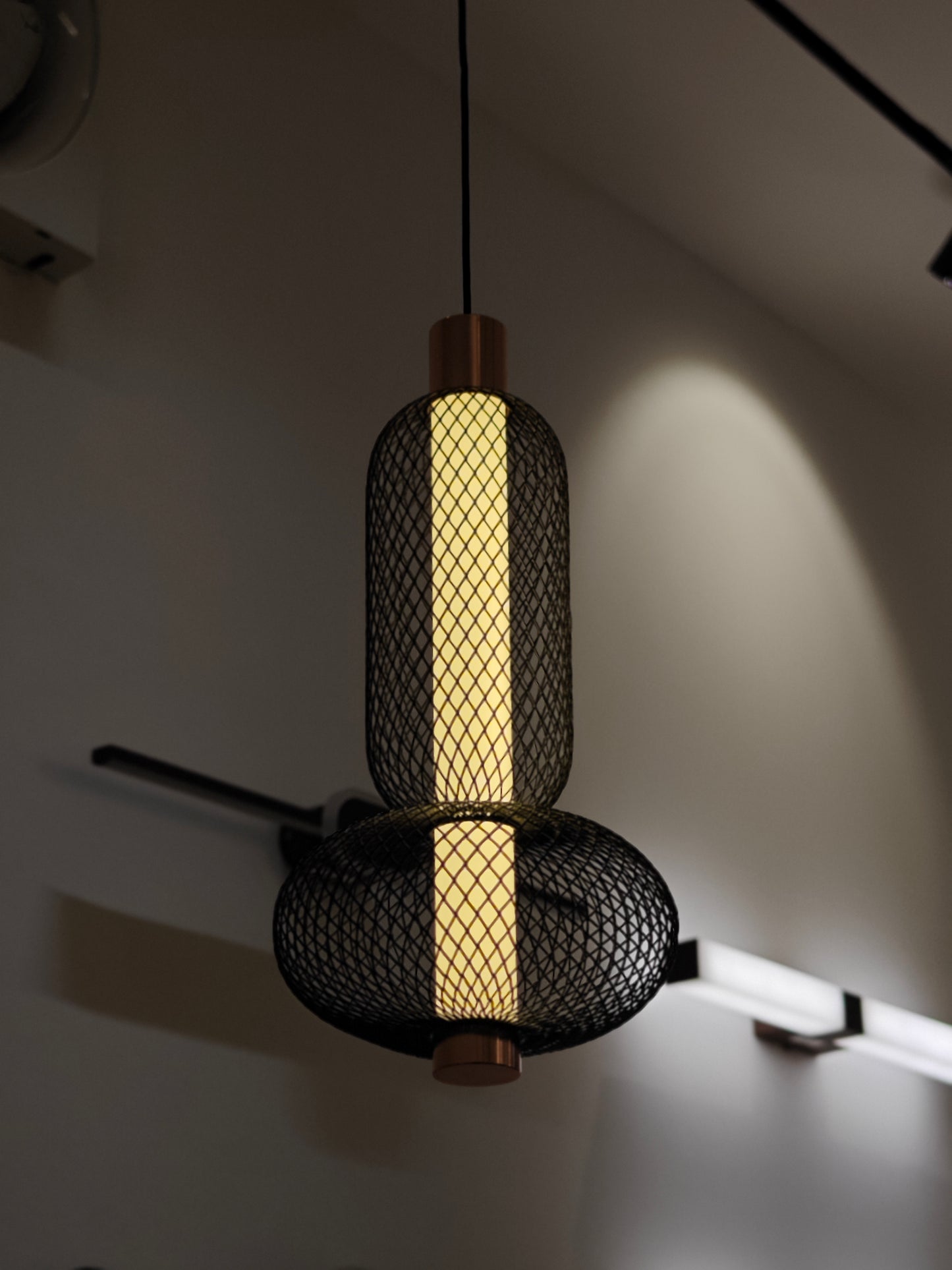 Envision Hanging Light