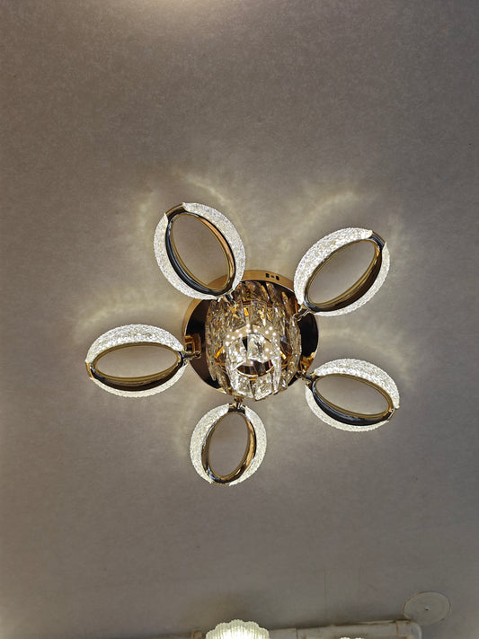 Guardian Ceiling Light