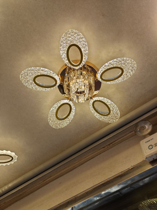 Guide Ceiling Light