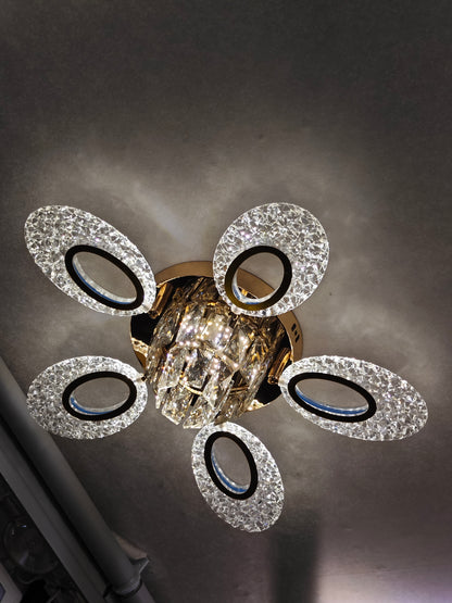 Guide Ceiling Light