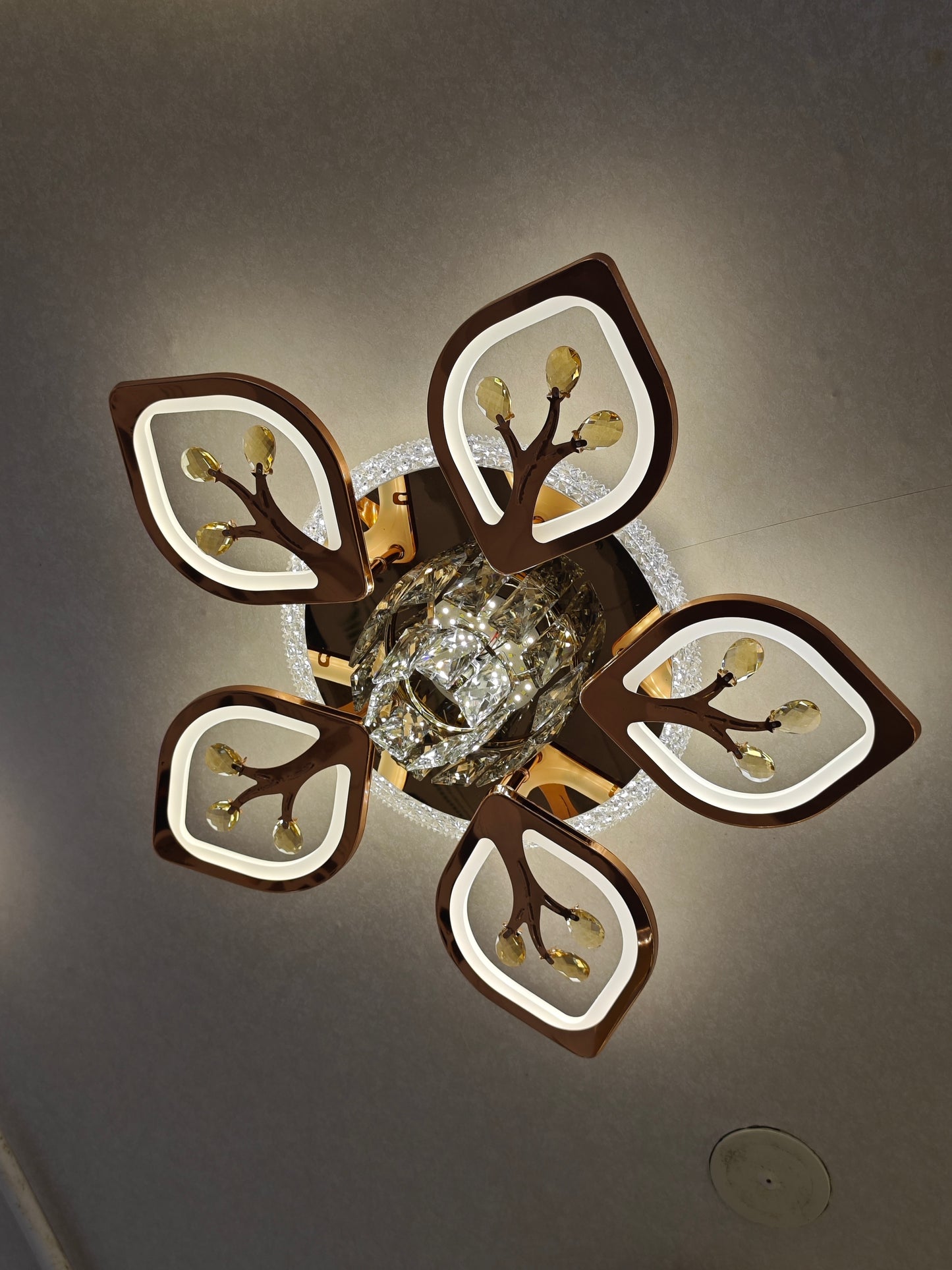 Harbor Ceiling Light