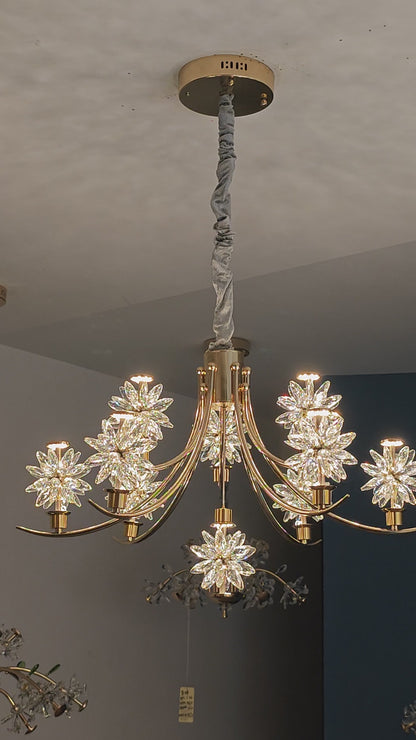 Discover Chandelier